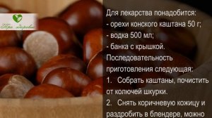 Конский каштан — конское здоровье! Вот какими станут сосуды и суставы всего после…