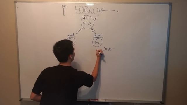 Fork() system call tutorial смотреть онлайн