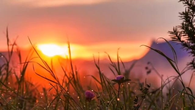 "Отче наш Небесный, да святится Твое..." Песня, исп. Шинкарева Светлана смотреть онлайн