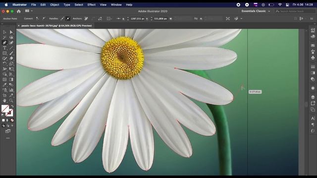 Как обрезать изображение/объект в Иллюстраторе? смотреть онлайн