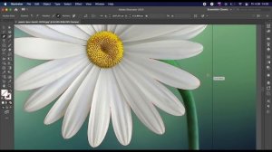 Как обрезать изображение/объект в Иллюстраторе?