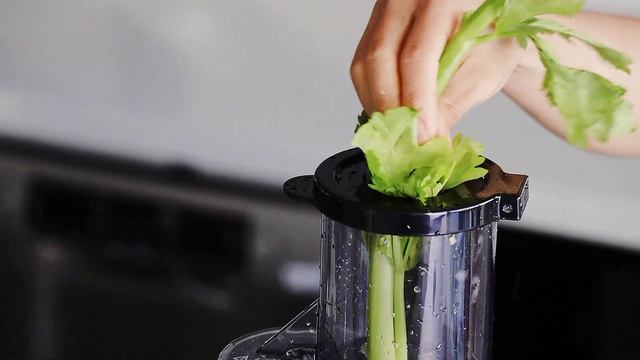 MÁY ÉP CHẬM TRỤC DỌC LEBENLANG - LBSS0404 смотреть онлайн