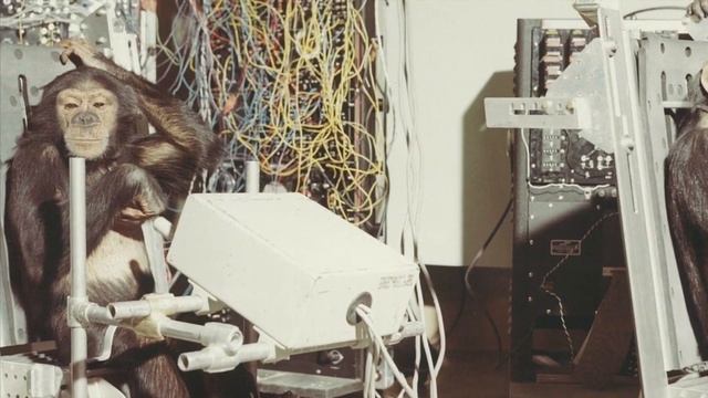 Ham the Astro-Chimp смотреть онлайн