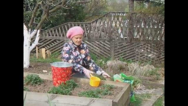 Самая лучшая весенняя подкормка для клубники смотреть онлайн