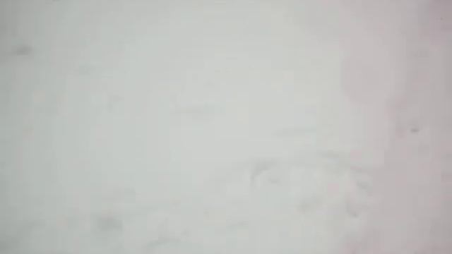 Берны ЗС Ежевика - Принц Джорж 22-02-2016 смотреть онлайн