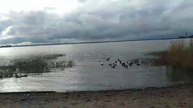 Время приключения. День 4. Кронштадт. смотреть онлайн