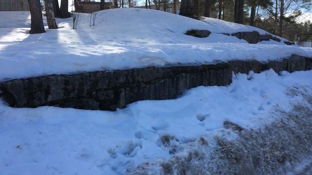 Россия(др.Скифия)Санкт-Петербург Бобочино Поляны(др.Мозjгопи)Северное Поб.Финского Залива 2023(7532 смотреть онлайн