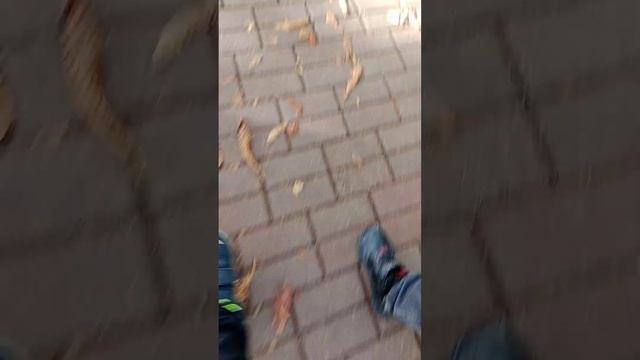 Обзор на Калининград улица Карла Маркса смотреть онлайн