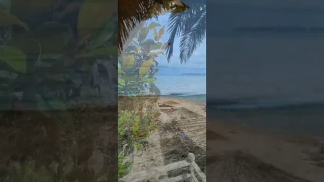 Абхазия. Пансионат "Арбика". Море. Песчаный пляж. смотреть онлайн