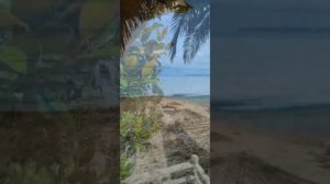 Абхазия. Пансионат "Арбика". Море. Песчаный пляж.