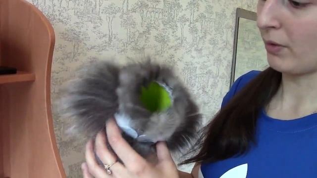 Стакан для ручек, Собачка Серая смотреть онлайн