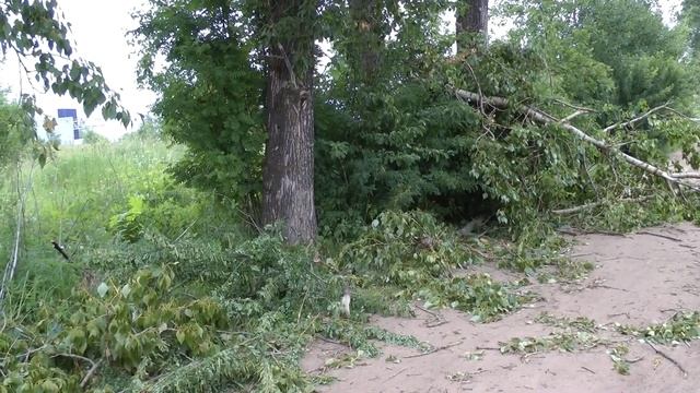 Чудаки вредители смотреть онлайн