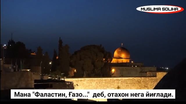 КАЪБА АТРОФИДА КУНИ КEЧА СОДИР БЎЛГАН БУ ВОҚEА ДУНЁ МУСУЛМОНЛАРИНИ ЙИҒЛАТДИ! смотреть онлайн