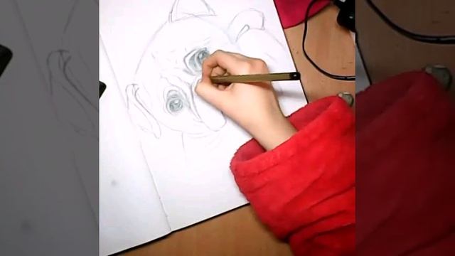 Рисую мопса простым карандашом смотреть онлайн