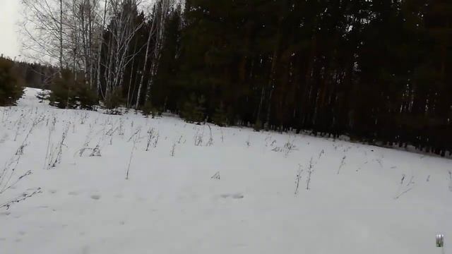 Обзор кормушек в лесу смотреть онлайн