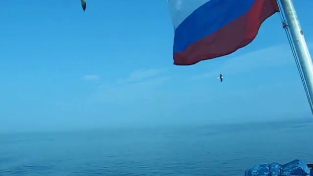 Белое море смотреть онлайн