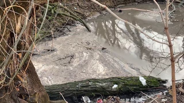 Ширма: район-лабиринт на киевских холмах. смотреть онлайн