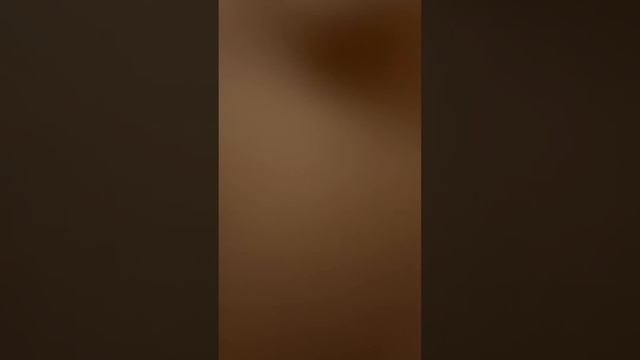 AKA SINGIL TO'PLAM / SATTOROVLAR OILASI 25-QISM