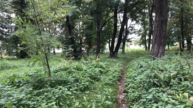 ВОТ СЧАСТЬЕ ГДЕ У ОГОРОДНИКА - ВЫКОПАТЬ СВЕКЛУ И МОРКОВЬ ВОВРЕМЯ смотреть онлайн
