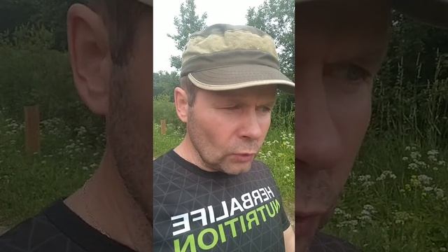 Опасность сладкой и холодной пищи в жару