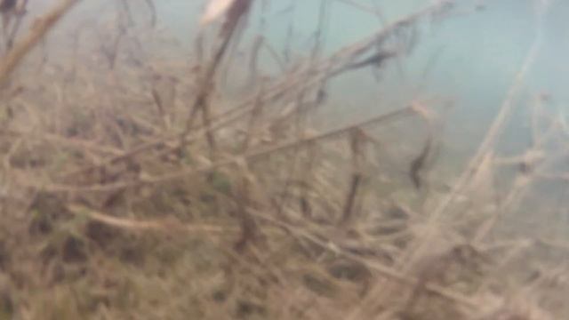 Крым Долгоруковка в Апреле.mxf смотреть онлайн