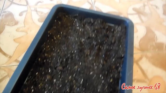 СЕКРЕТЫ посадки, досветки рассады ГРУНТ с вермикулитом смотреть онлайн