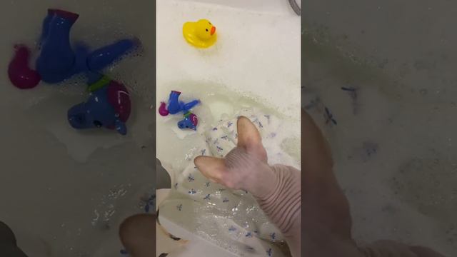 Купаем нашего Сладенького🤍 смотреть онлайн