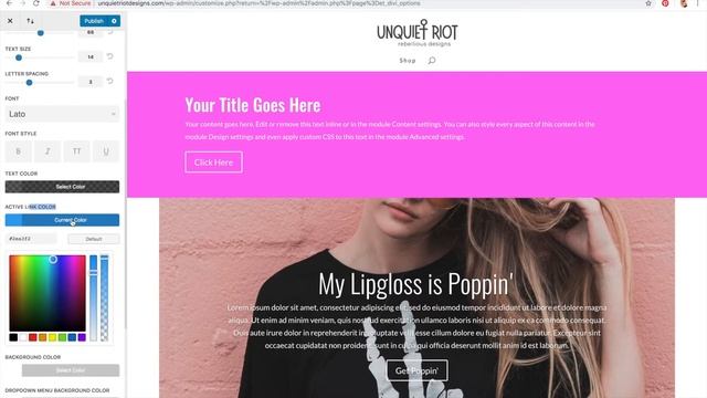 Building a Landing Page using Divi Builder in Wordpress смотреть онлайн