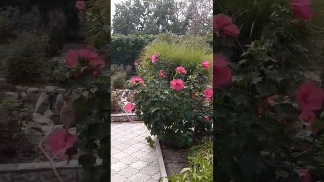 КРАСОТА смотреть онлайн