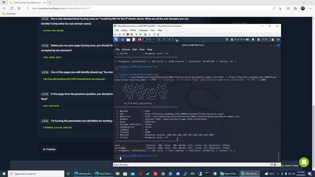 HTB Academy: Attacking Web Applications with FFUF - Skills Assessment Part2 смотреть онлайн