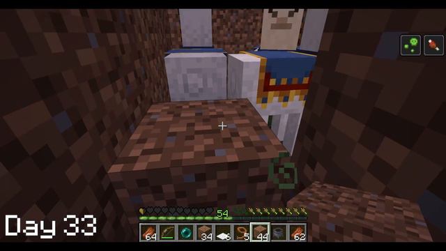 Minecraft Superflat 100 days but ... THERE ARE NO VILLAGES (structureless superflat) смотреть онлайн