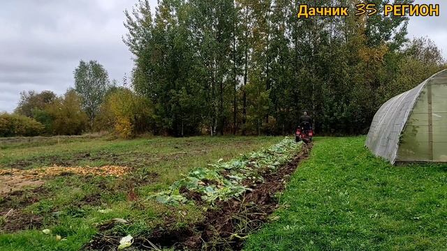 Осенняя пахота 2022 на мини тракторе беларус 132H.Расход бензина. смотреть онлайн