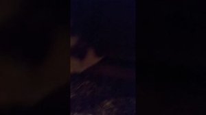 Лечение хронического бурсита КРС.