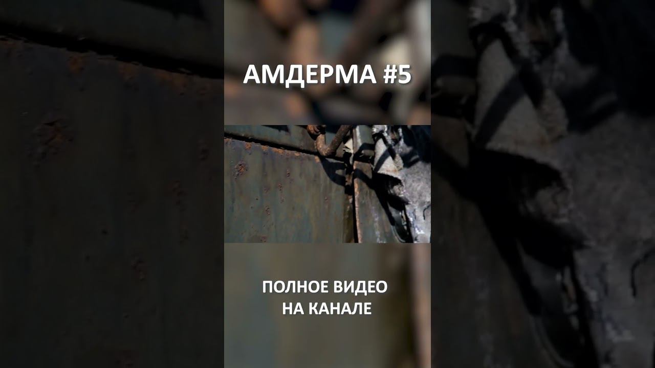 АМДЕРМА AMDERMA 5 SHORT #SHORTS смотреть онлайн