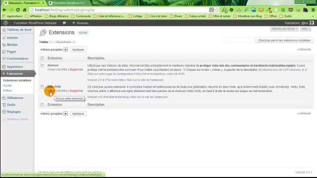 Gérer ses extensions WordPress смотреть онлайн