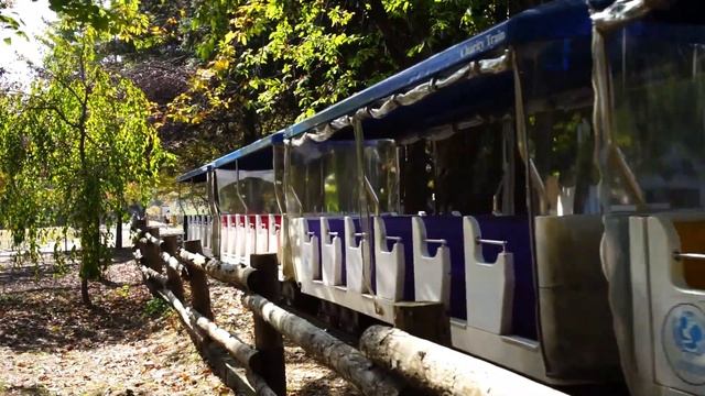 CONON EOS 4000D VIDEO TEST HD смотреть онлайн