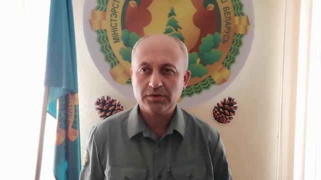 Столбцовский лесхоз