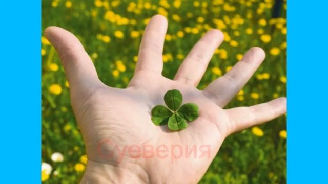 Русские привычки - это шок для иностранцев!