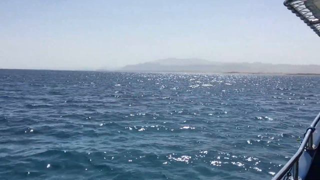 Отдых на Красном море! смотреть онлайн