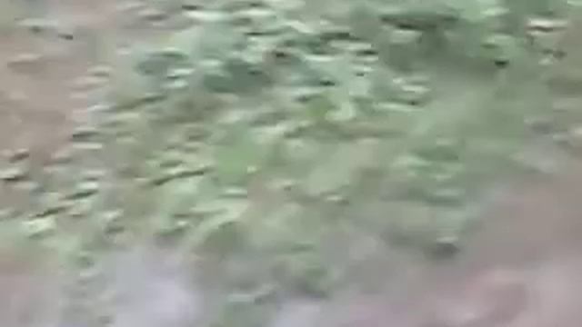 Вольск.ул Малыковская.Тротуар после дождя. смотреть онлайн