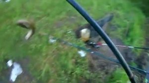 Рыбалка в Орле 2018