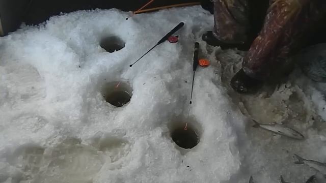 сиг Сухое море смотреть онлайн
