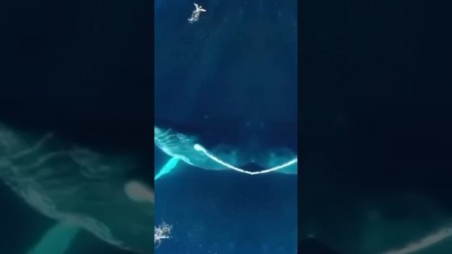 Как спастись