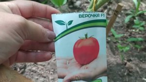 🍅 Лучшие низкорослые томаты для теплицы | ТОП-6 от Виктории Радзевской