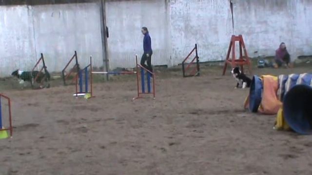 шеба 3 смотреть онлайн