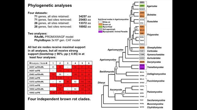 David Hibbett at the 2012 DOE JGI Genomics of Energy & Environment Meeting смотреть онлайн