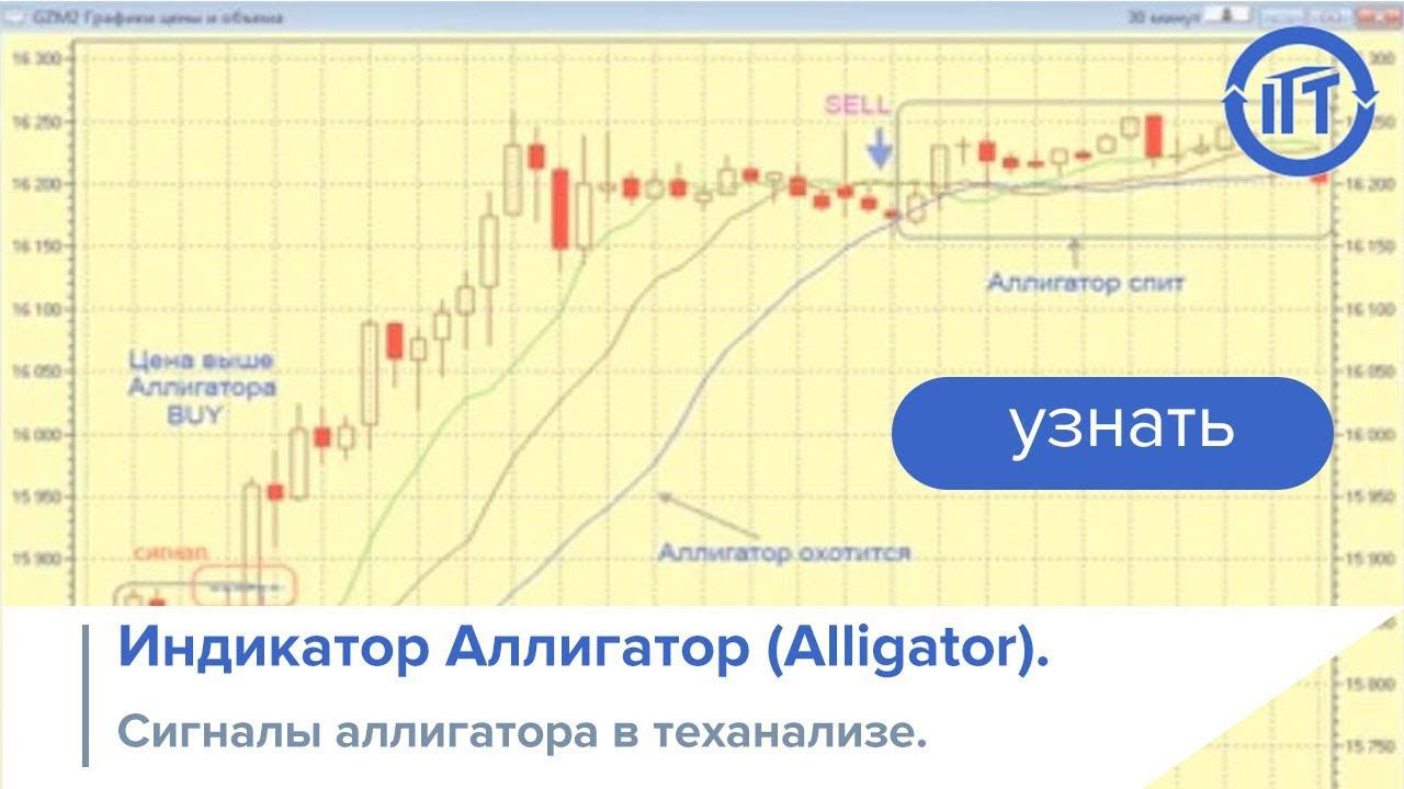 Индикатор Аллигатор (Alligator). Сигналы аллигатора в теханализе. смотреть онлайн