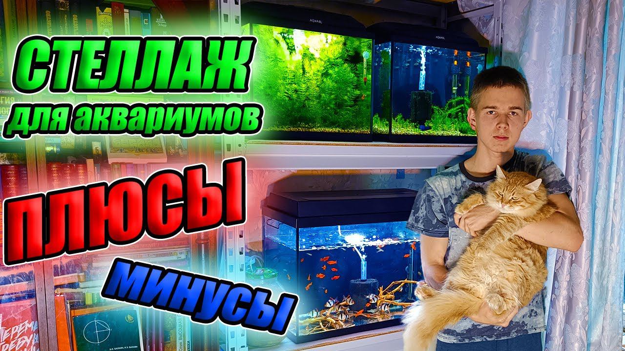 Стеллаж для аквариумов ПЛЮСЫ и МИНУСЫ смотреть онлайн