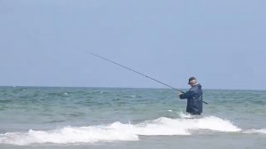 Ловля сарганов- 2. Куршская коса.Балтийской море.