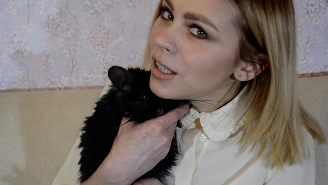 Ангорский шиншилленок Линкольн смотреть онлайн